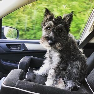 Meet your Posher, Kalen